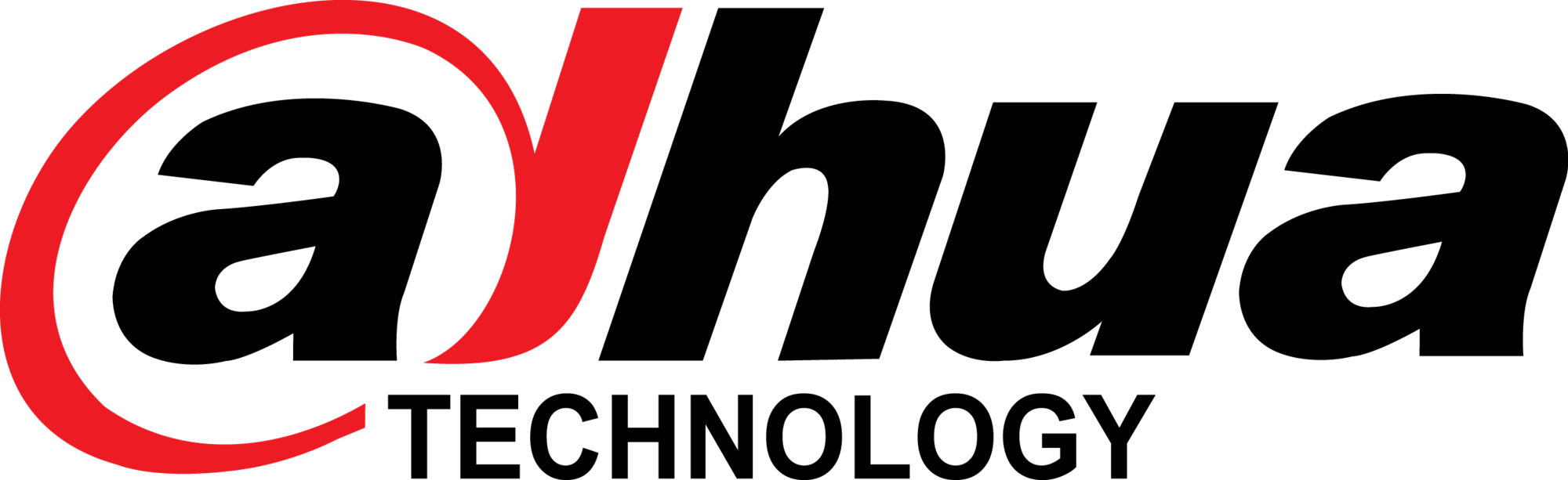 dahua-seeklogo